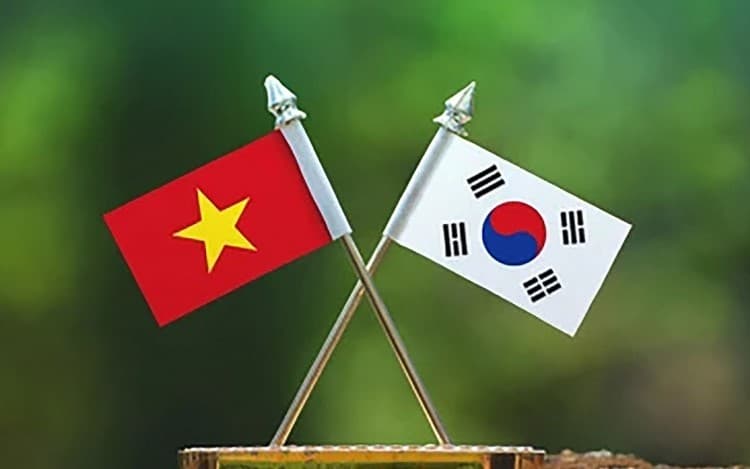 Hình ảnh hoạt động BAViK