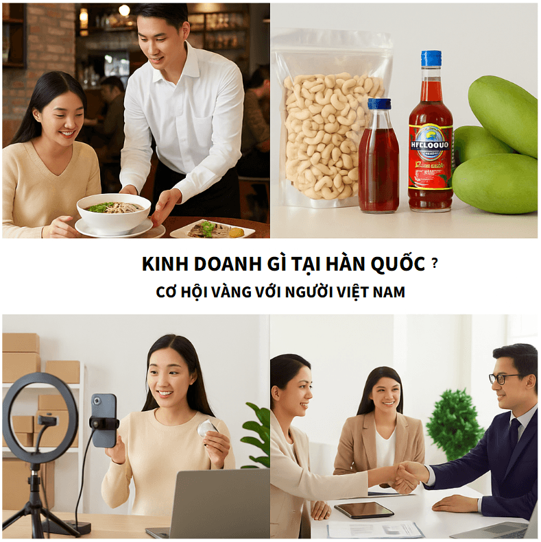 Hình ảnh hoạt động BAViK