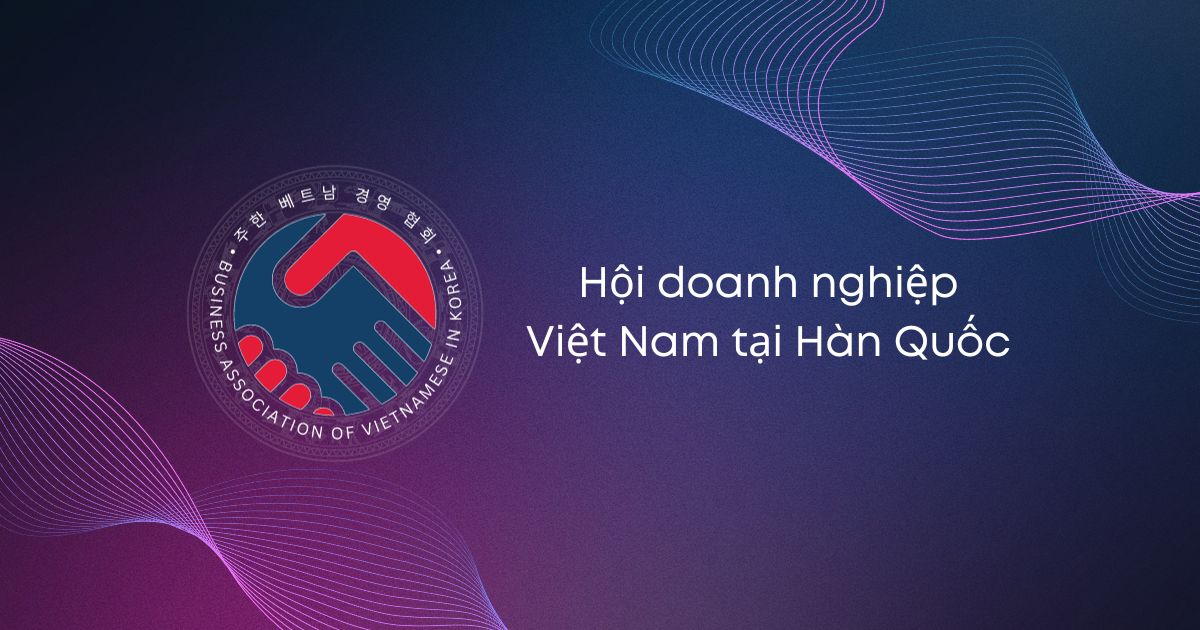 Hình ảnh hoạt động BAViK